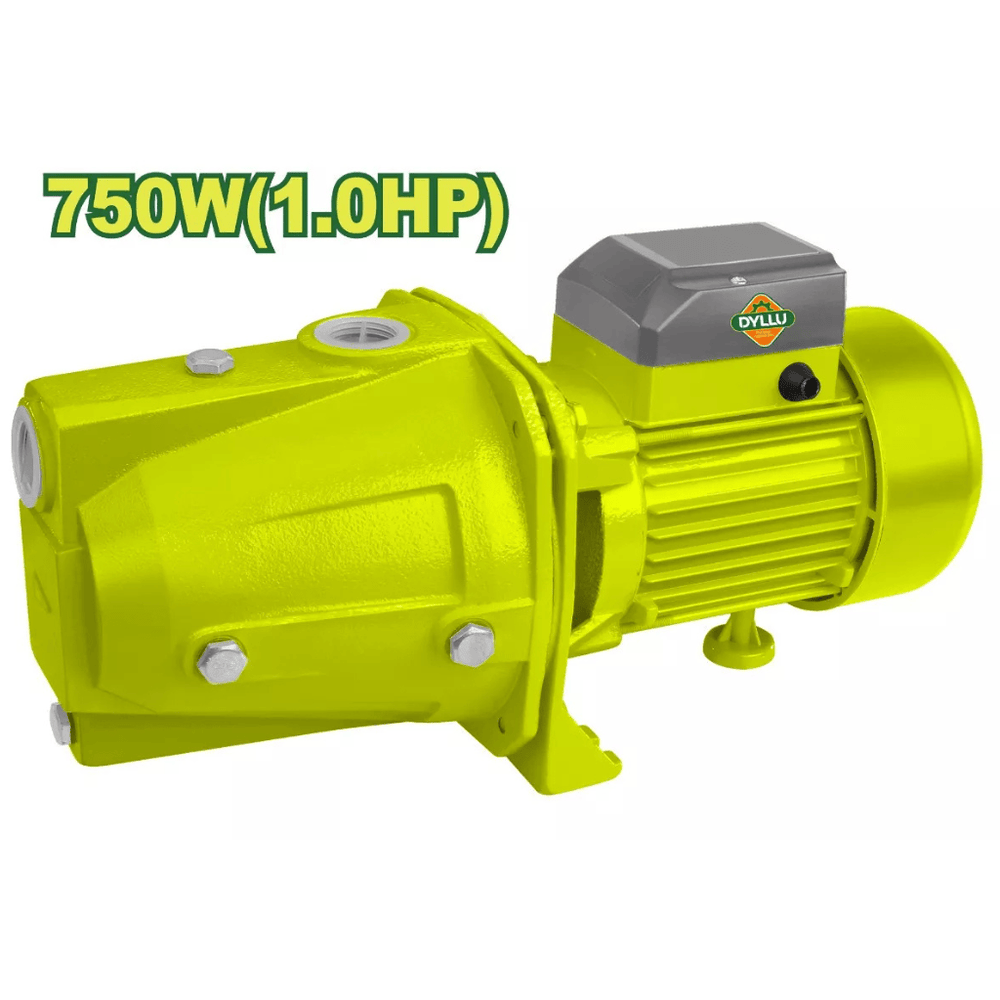 dyllu-dyllu-1hp-self-priming-jet-pump-750w-dtwpja03-centrifugal-pumps-1209174703.png موتور مياه ديليو DTWPJA03، (750) وات - الصورة 1